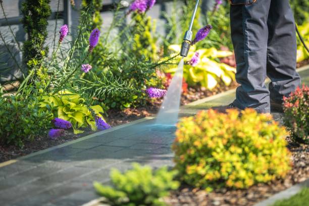 Bassett, VA Pressure Washing Services Company